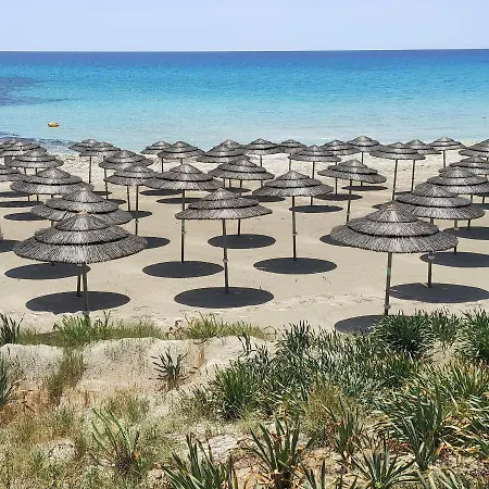 Narcissos 'nissi Beach' C3 Apartman Ajía Nápa