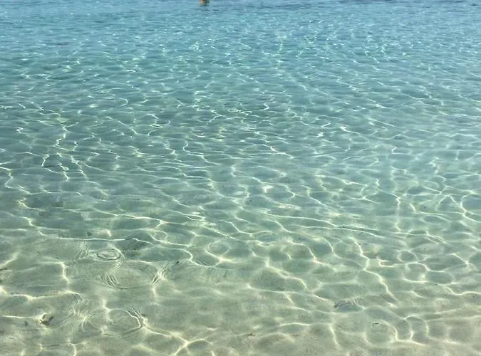 Narcissos 'nissi Beach' C3 Apartamento Agia Napa