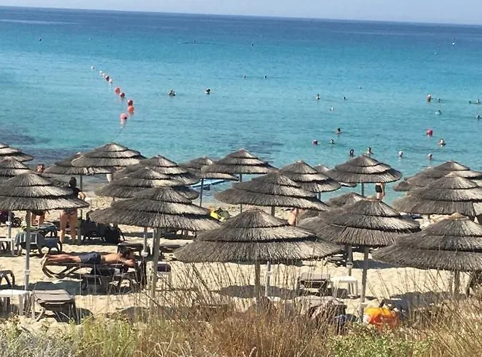 Narcissos 'nissi Beach' C3 *